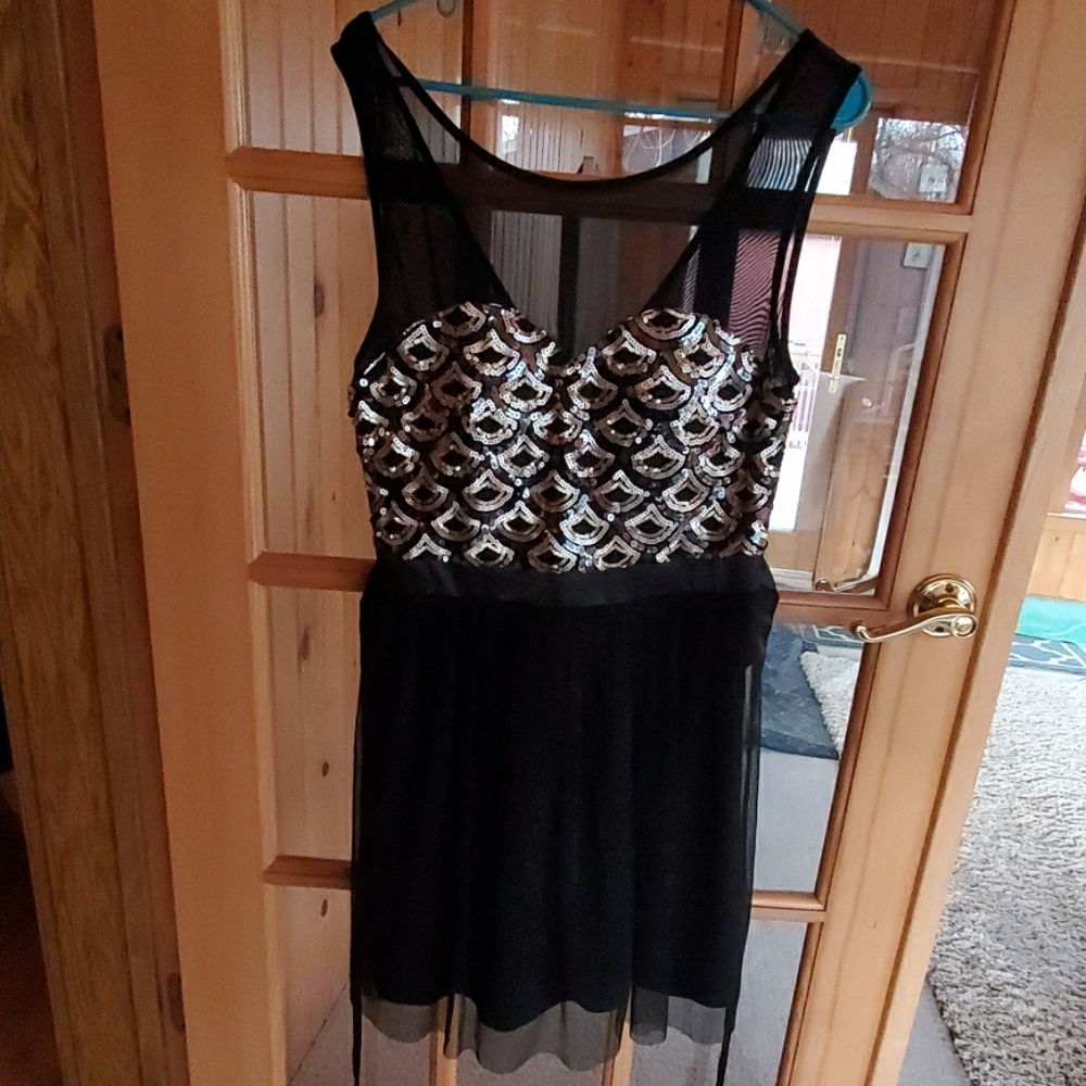 NWT Sequined Dress with Shimmery Skirt